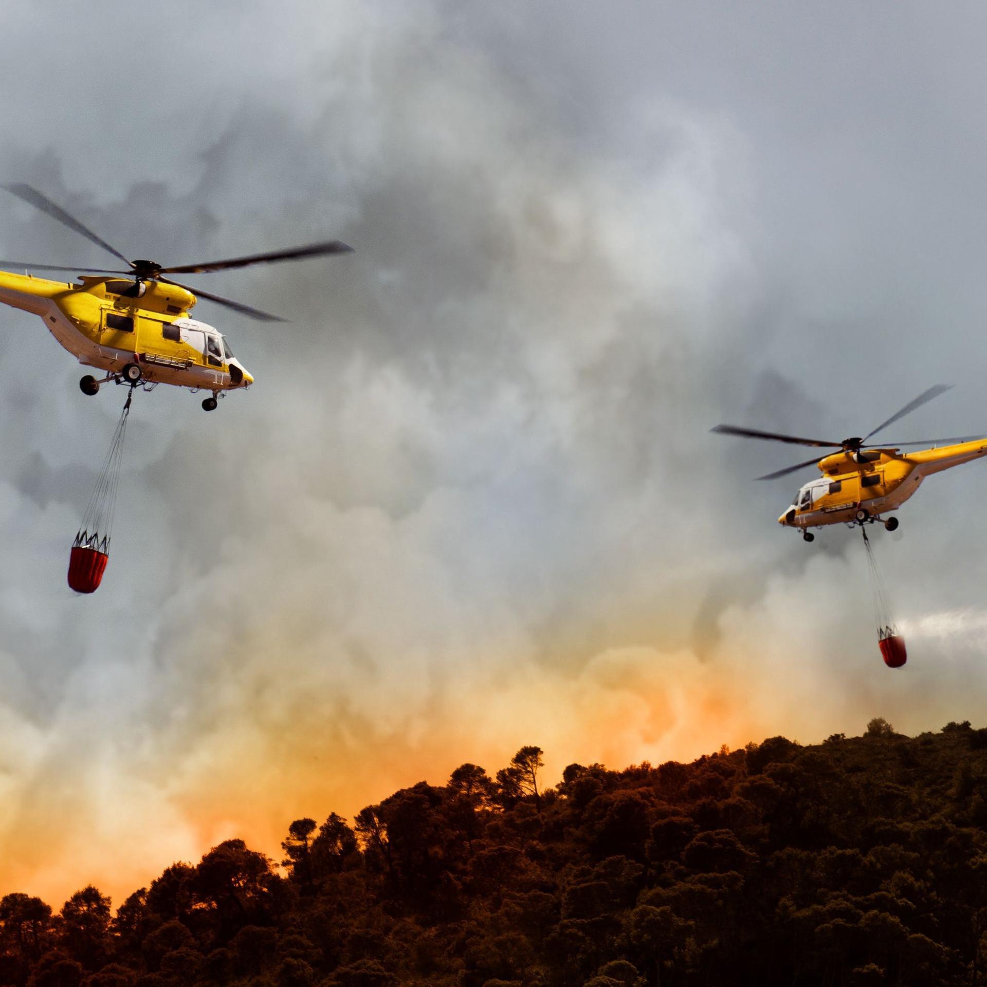 Zwei Hubschrauber bekämpfen einen Waldbrand